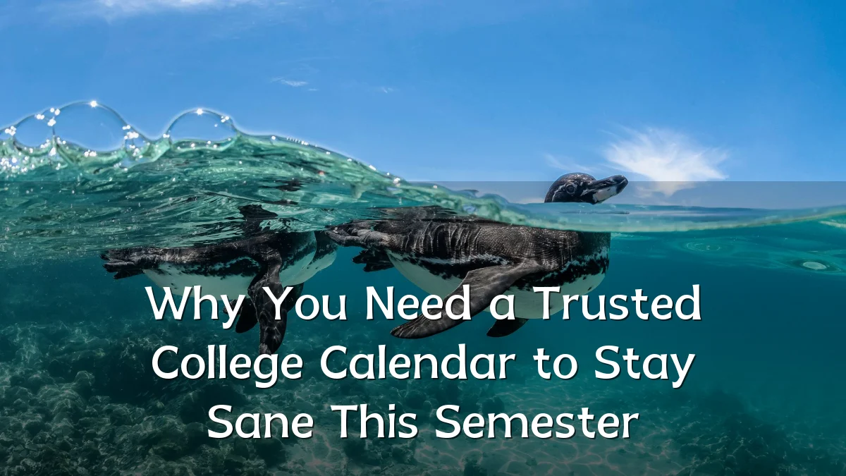 Why You Need a Trusted College Calendar to Stay Sane This Semester