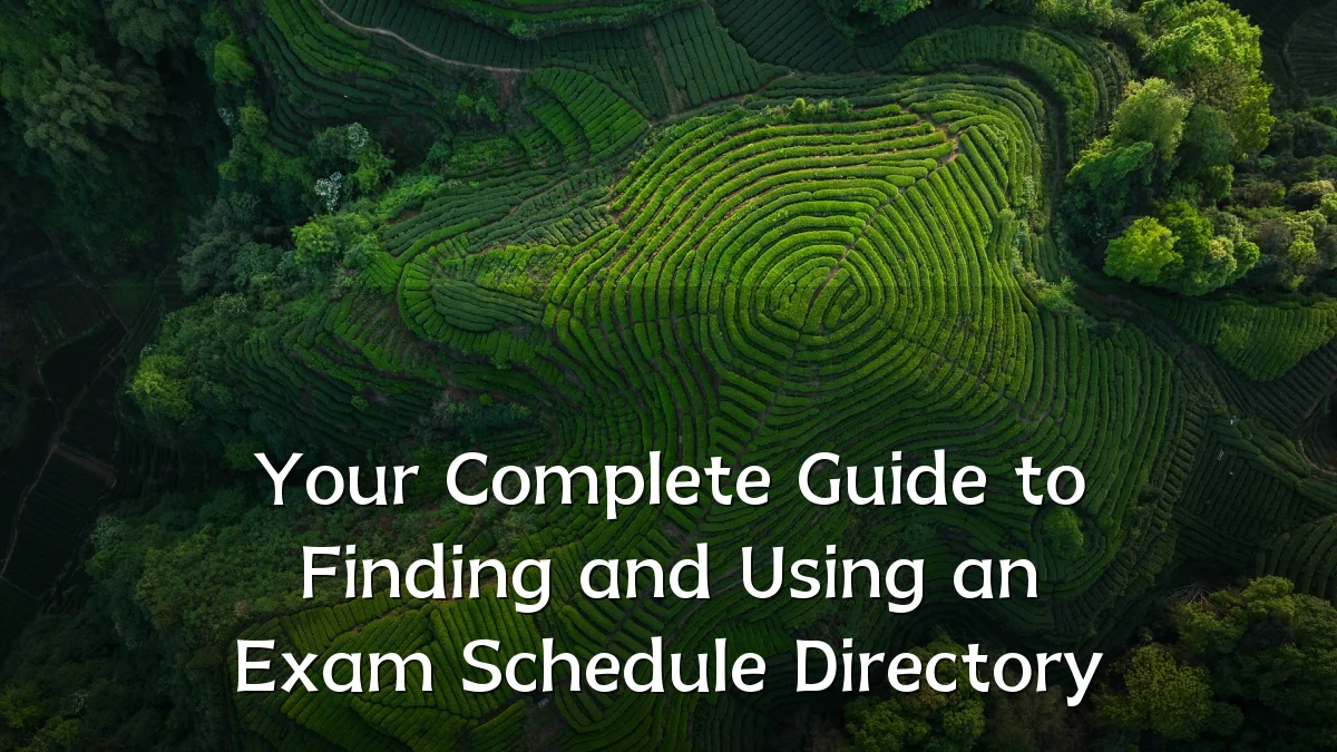 Your Complete Guide to Finding and Using an Exam Schedule Directory